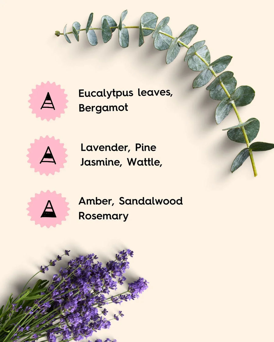 Eucalyptus leaves and lavender flowers with fragrance oil scent notes listed beside them.