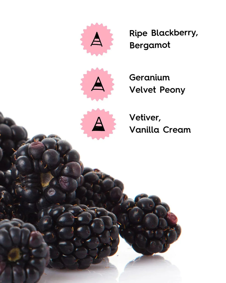 Fresh blackberries with text listing fragrance notes: ripe blackberry, bergamot, geranium, velvet peony, vetiver, vanilla cream.