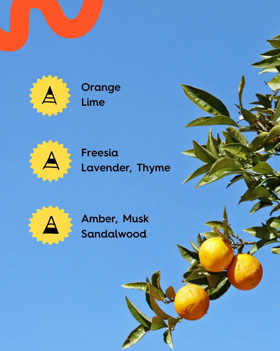 Orange tree branch with ripe oranges, fragrance notes of citrus, floral, amber, on blue sky.