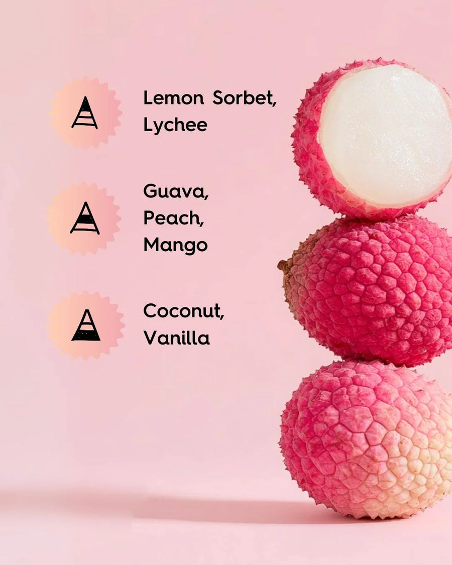 Stack of lychees on pink background with fragrance notes: lemon sorbet, lychee, guava, peach, mango, coconut, vanilla.