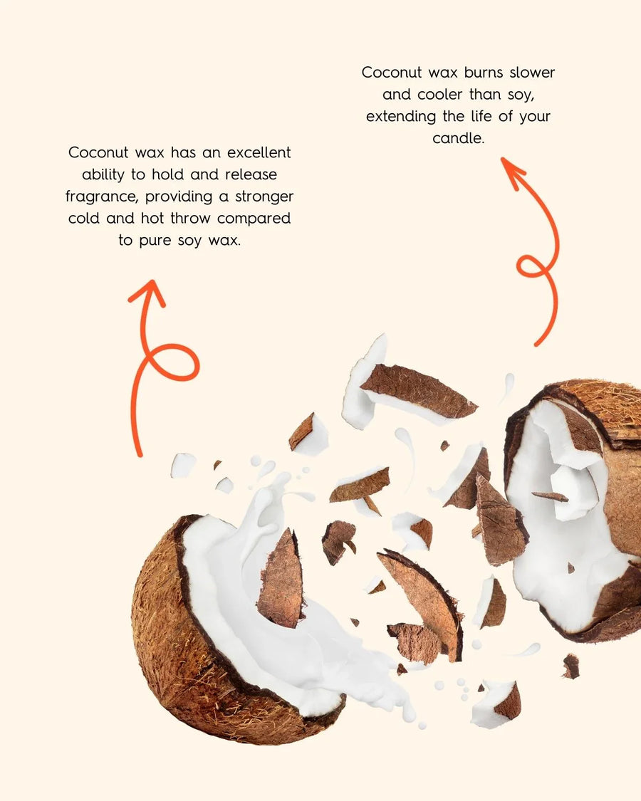 Broken coconut with coconut wax benefits for candle making highlighted on cream background.