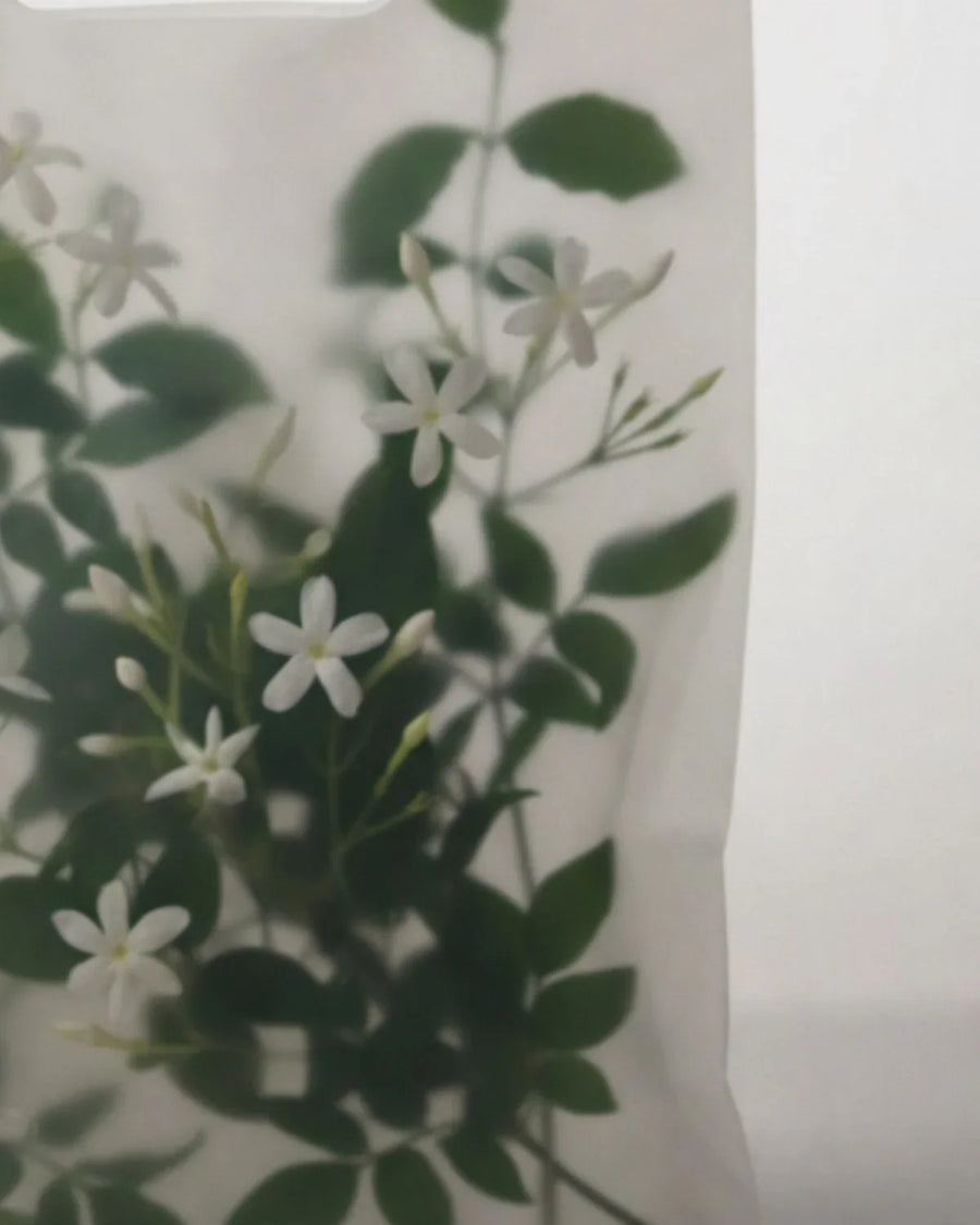 Jasmine flowers and green leaves behind frosted translucent packaging