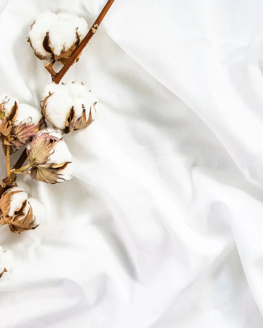 Natural cotton branch on soft white fabric, perfect for candle making supplies or soap bases