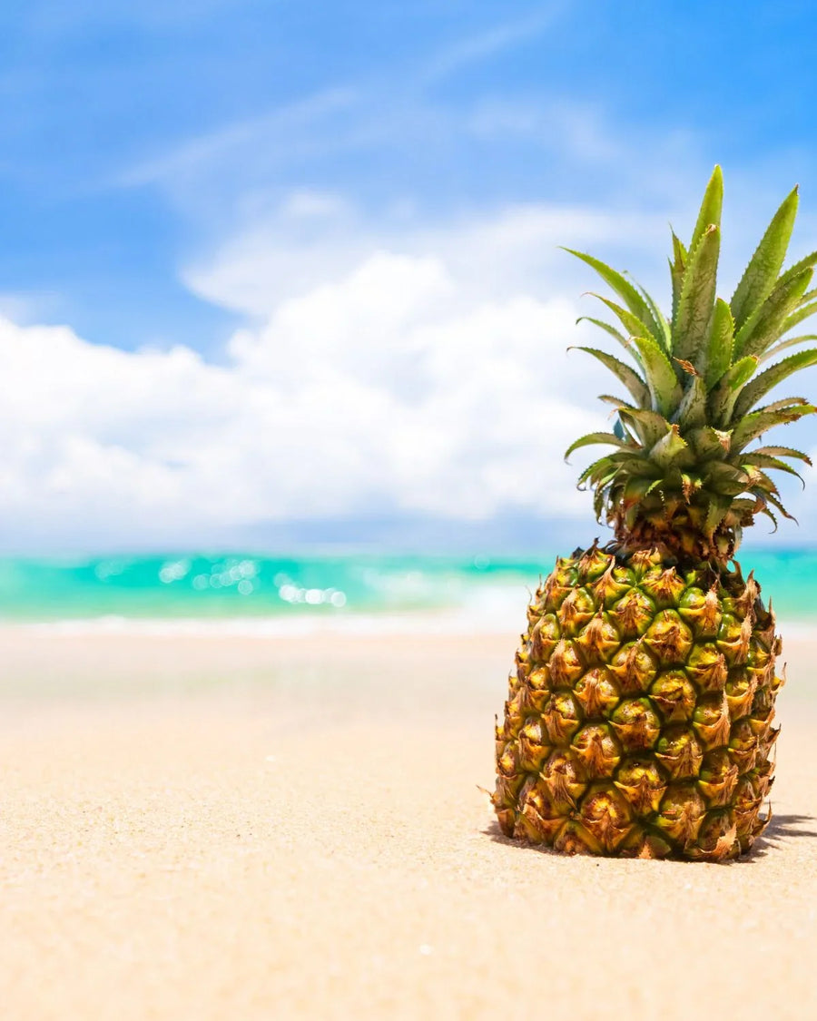 Fresh pineapple on sandy beach with blue ocean and sky background