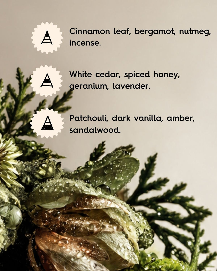 Amber Moss & Teak Fragrance Oil
