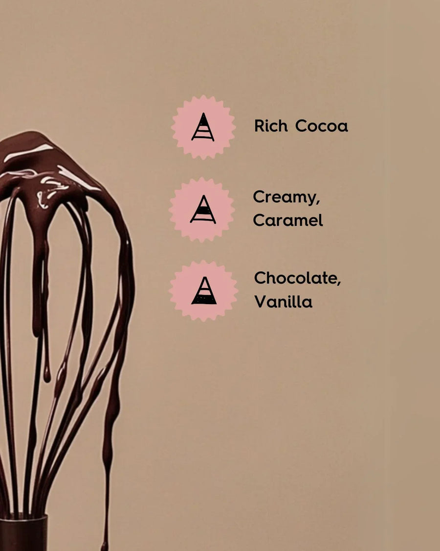 Whisk covered in chocolate with text describing rich cocoa, creamy caramel, chocolate and vanilla fragrance notes.