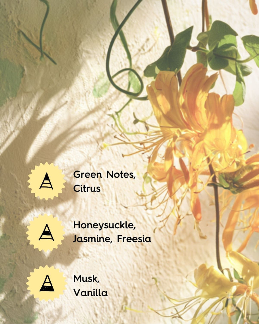 Japanese Honeysuckle Fragrance Oil