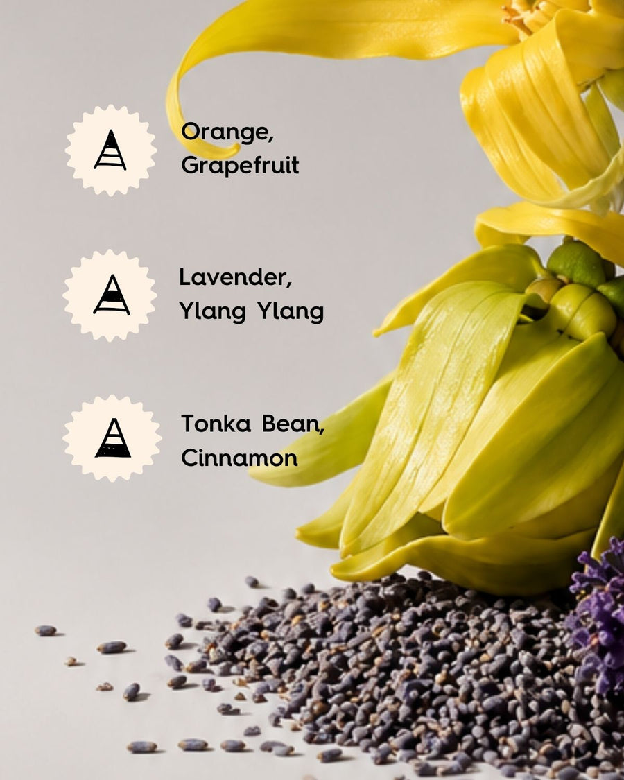 Lavender & Ylang Ylang Fragrance Oil Notes