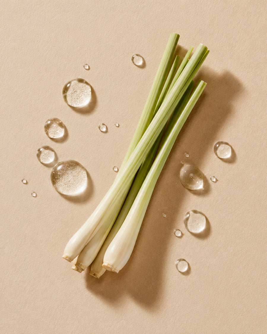 Lemongrass Essential Oil Droplets