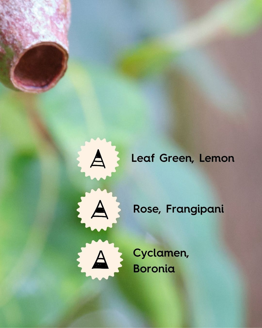Notes for Australian Florals & Honey Fragrance Oil