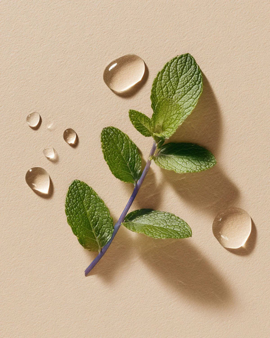 Fresh peppermint leaves with water droplets on a beige background, ideal for essential oil product.