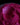 Flirt Pink Mica Blend