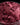 Angry Rose Mica Blend
