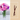 Sweet Pea & Vanilla Fragrance Oil - Wickii