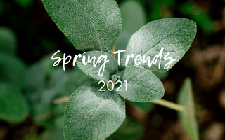 Spring 2021 Candle Trends - Wickii