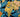 World map with floral illustrations over continents on a blue marbled background