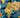 World map with floral illustrations over continents on a blue marbled background