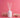 White reed diffuser bottle with reeds and dried flowers on pink background