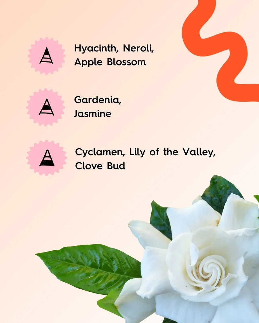 Gardenia flower with fragrance notes including hyacinth, jasmine, lily of the valley, clove bud
