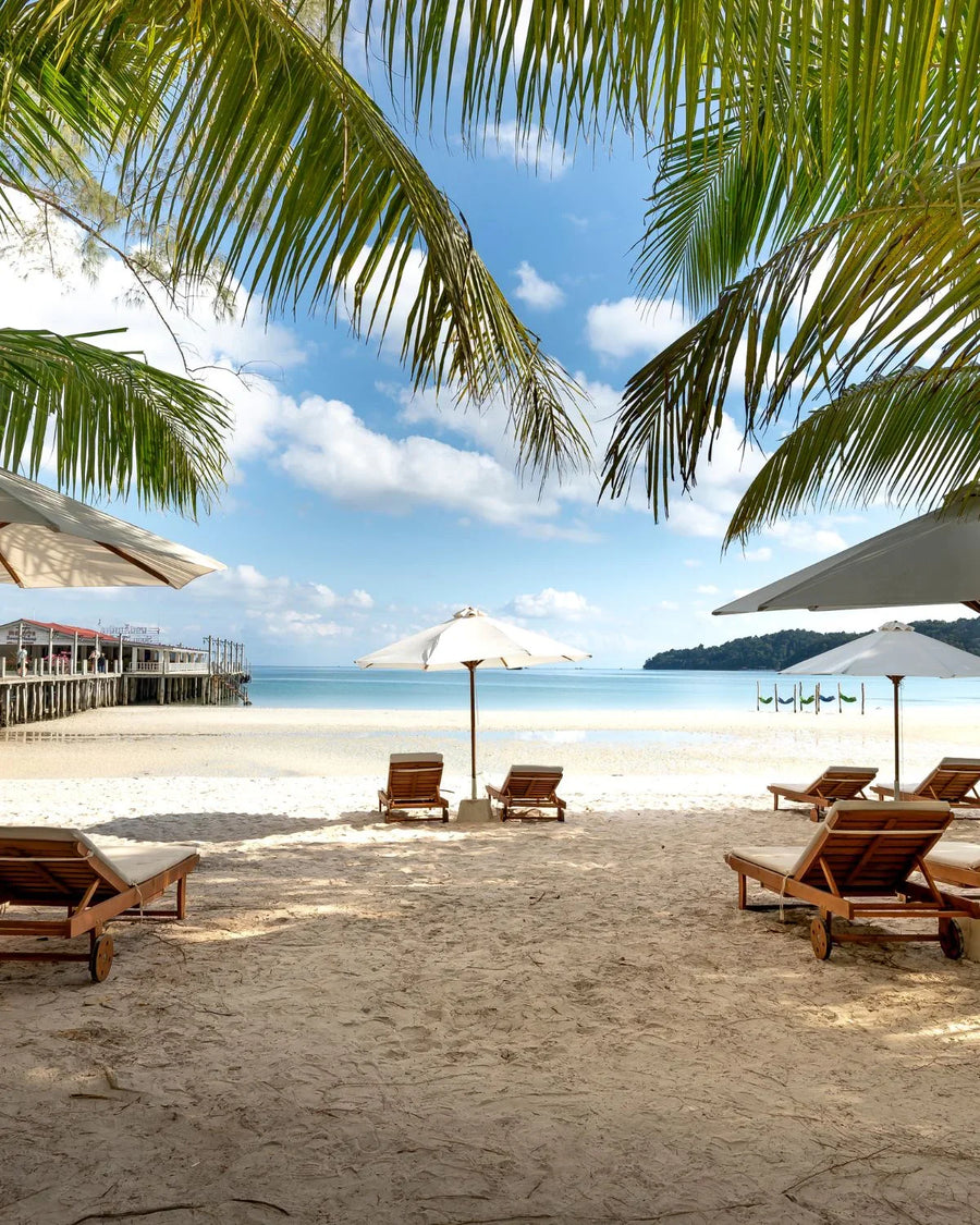 Tropical beach with lounge chairs, umbrellas, palm trees, and clear blue sky