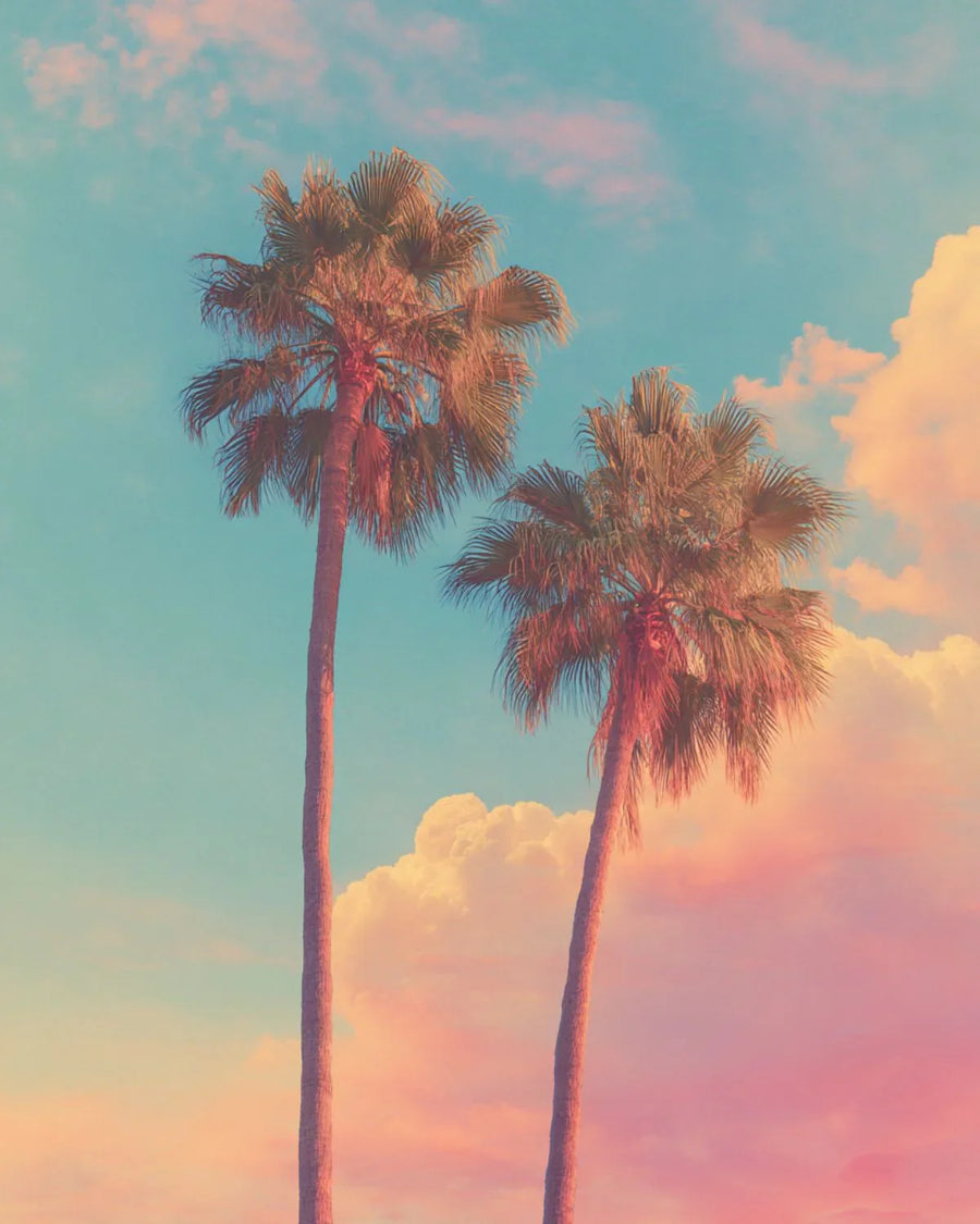 Two palm trees with pastel sky and clouds, tropical landscape aesthetic