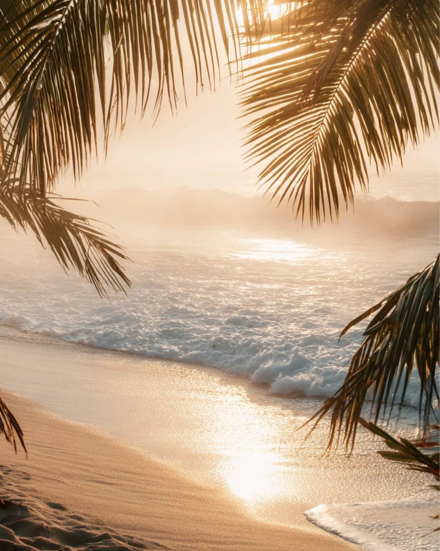 Tropical beach at sunset with palm leaves, golden sand, and gentle ocean waves