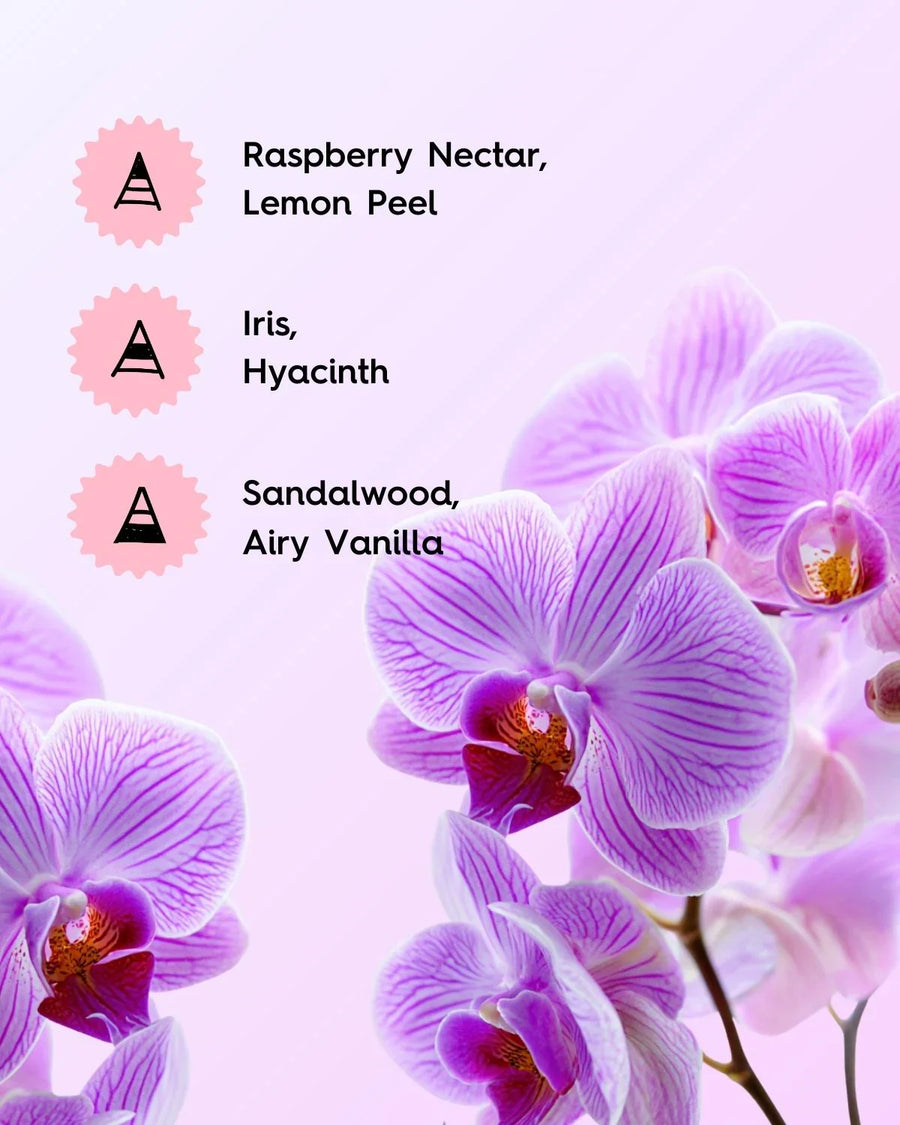 Pink and purple orchids with listed fragrance notes: raspberry nectar, iris, sandalwood, airy vanilla.