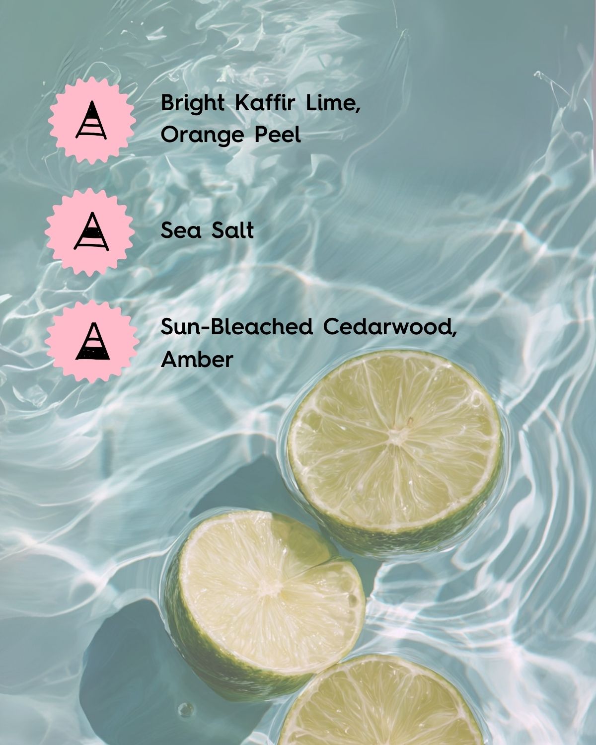 Citrus Bloom & Salt Air