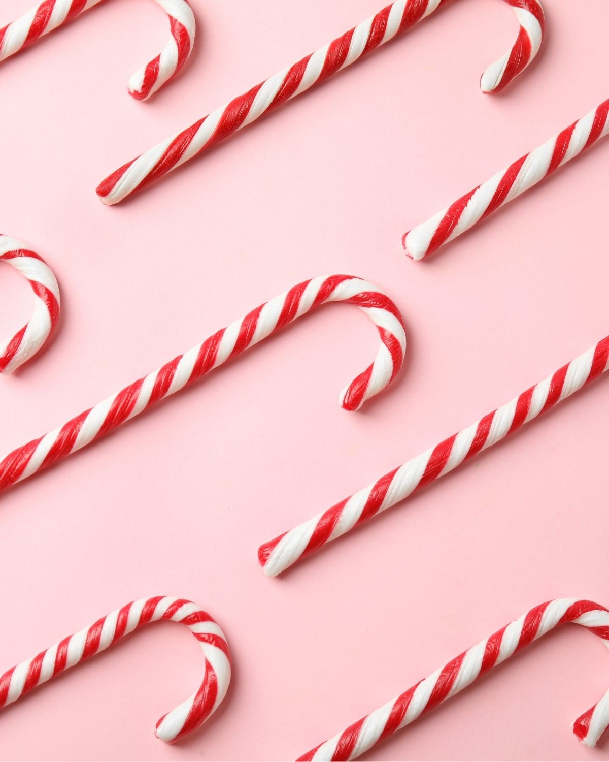 Candy Cane Fragrance Oil