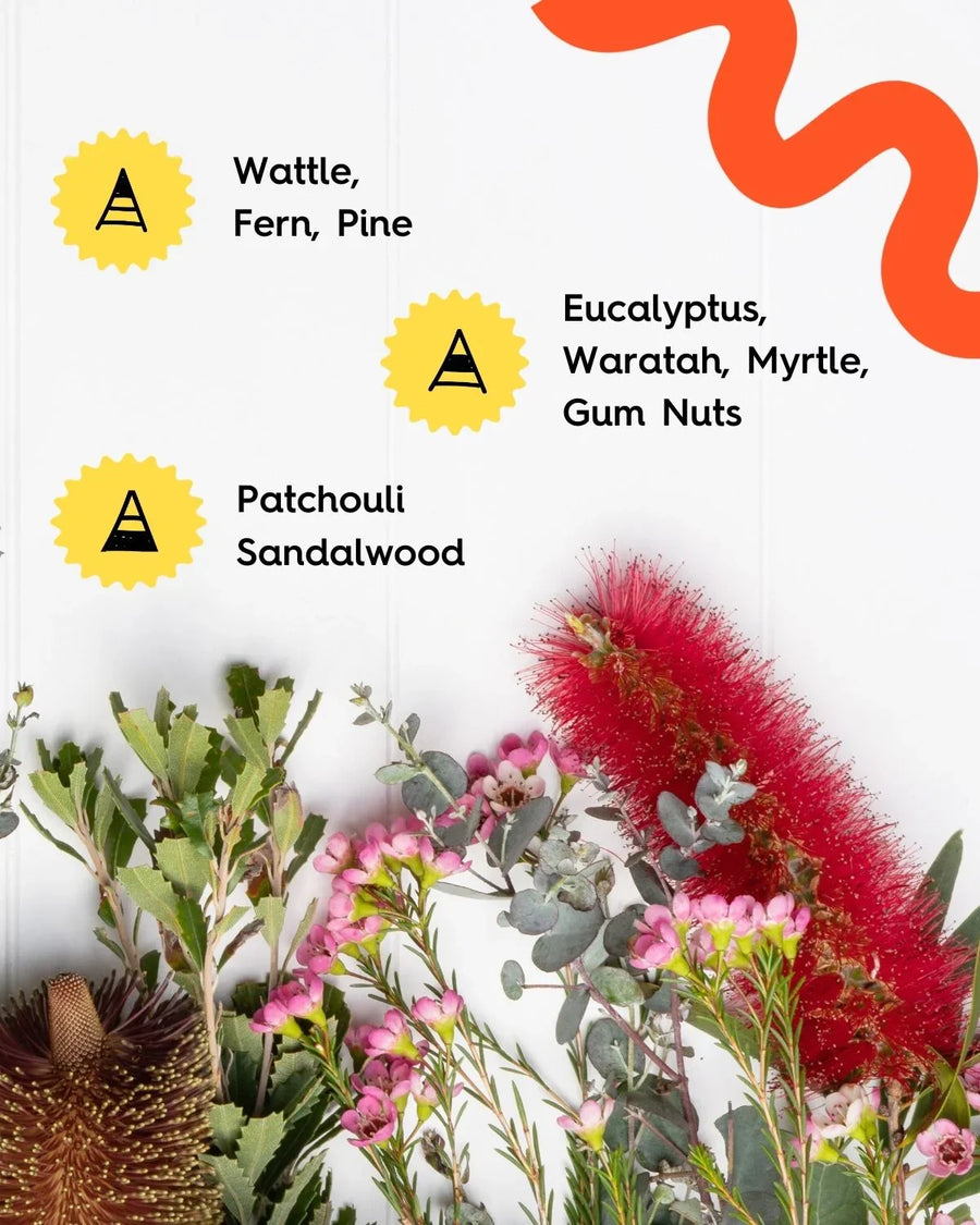 Native Australian botanicals including eucalyptus, wattle, waratah, and flowers for candle making.