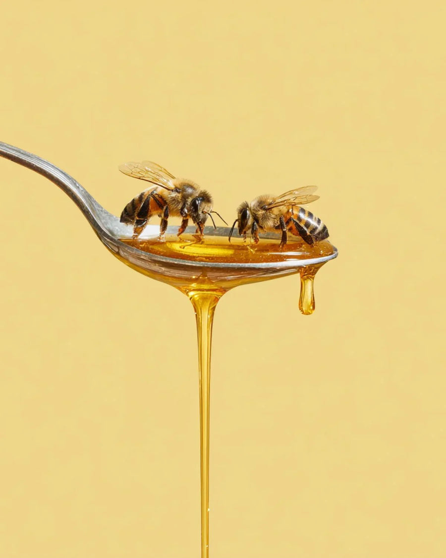 Two bees on honey dripping from a spoon against a yellow background