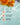 Coastal Waters Fragrance Oil