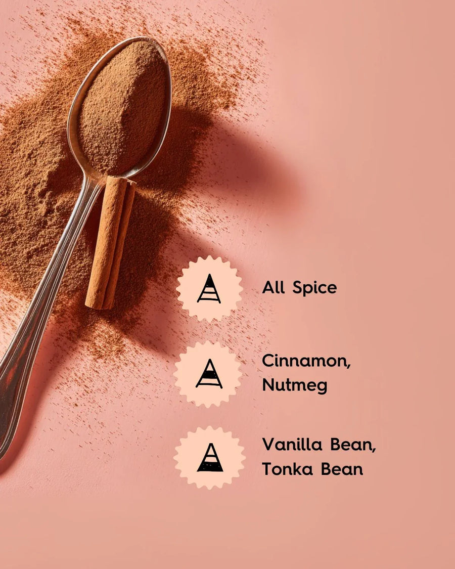 Spoon with ground spice, cinnamon stick, and spice notes list on pink background