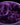 Heliotrope Purple Mica Blend
