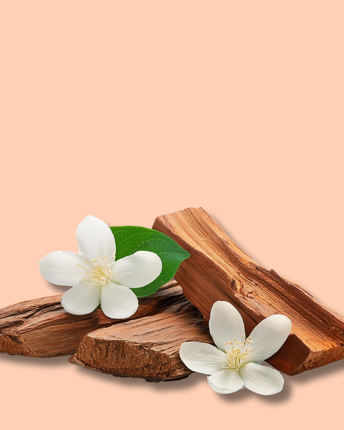 Jasmine & Sandalwood Fragrance Oil