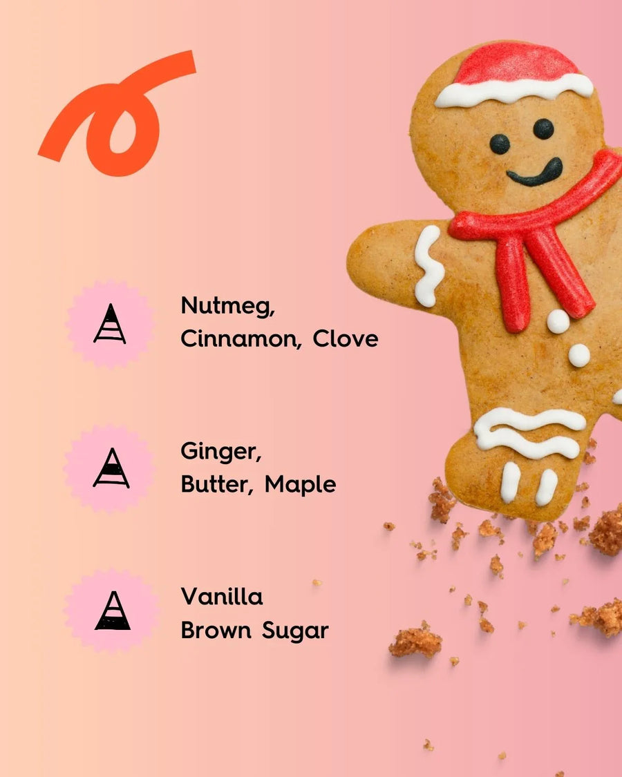 Gingerbread cookie with red icing, nutmeg, cinnamon, clove, vanilla, and brown sugar scent notes.