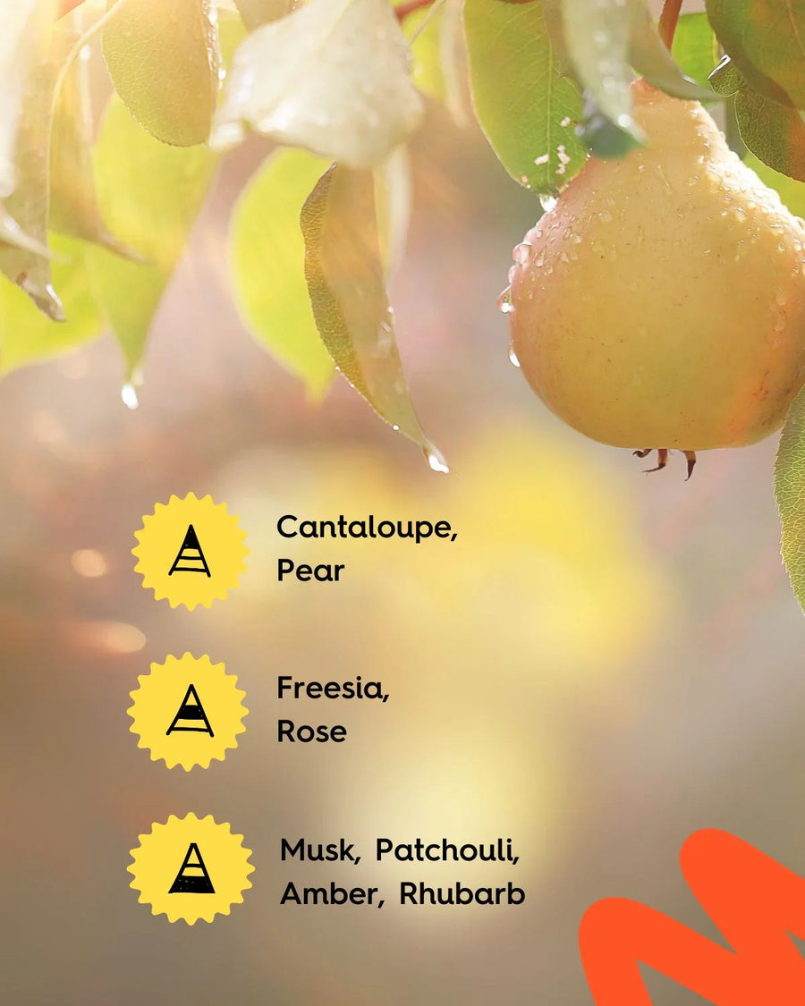 Fresh pear on tree branch with cantaloupe, pear, freesia, rose, musk fragrance notes listed.
