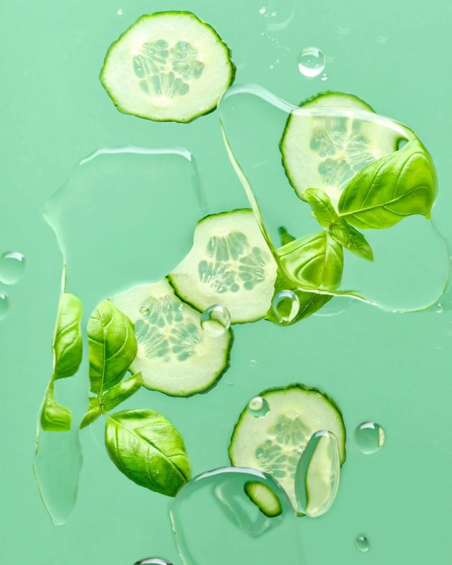 Fresh basil leaves and cucumber slices with water droplets on a green background