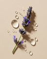 Lavender sprig with water droplets on beige background, ideal for fragrance oil and candle making