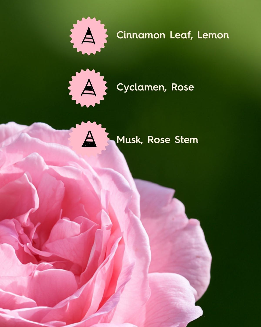 Bulgarian Rose Fragrance Oil