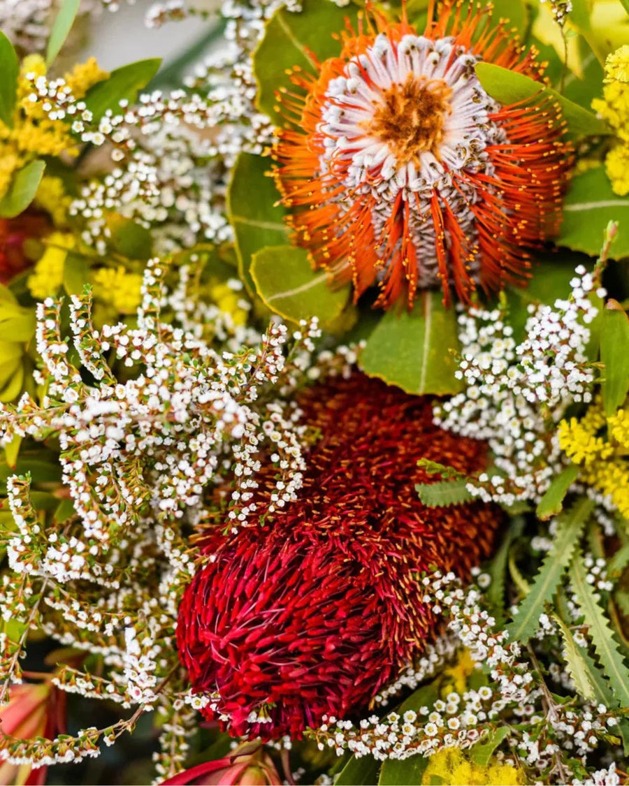 Australian native flowers with red and orange banksia and white wax flower blooms