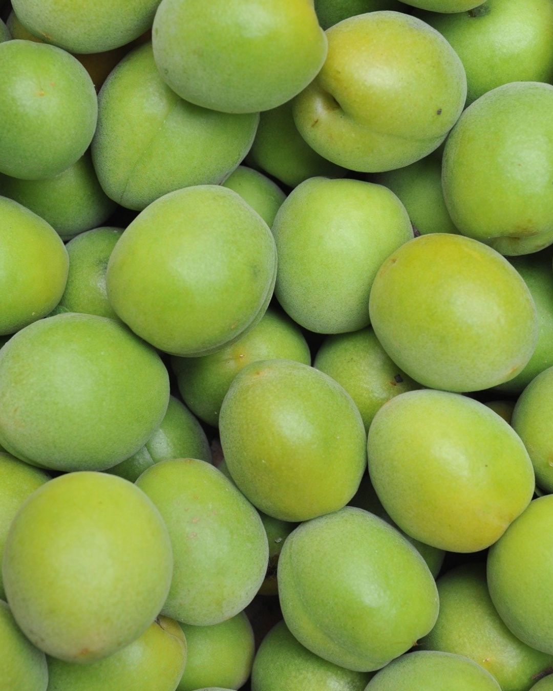 Kakadu Plum Fragrance Oil