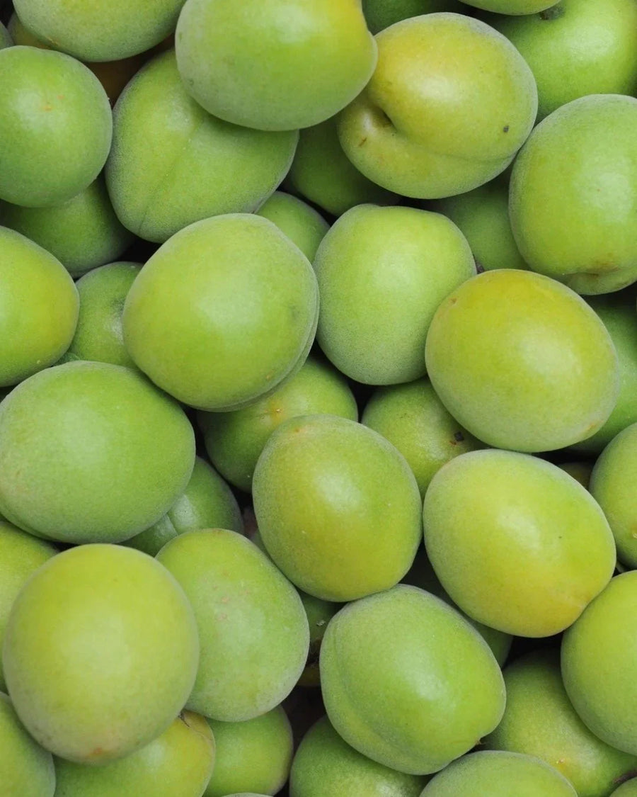 Close-up of fresh green apricots, unripe fruit, natural texture background