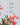Christmas Bush Fragrance Oil Notes