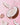 Coconunt Lip Flavour