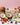 Assorted fresh fruits, coconut, fig, lime, raspberries, vanilla pods, flowers, and a champagne glass displayed with a colorful box on a pink background.