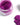 Flashdance Purple-Pink Mica