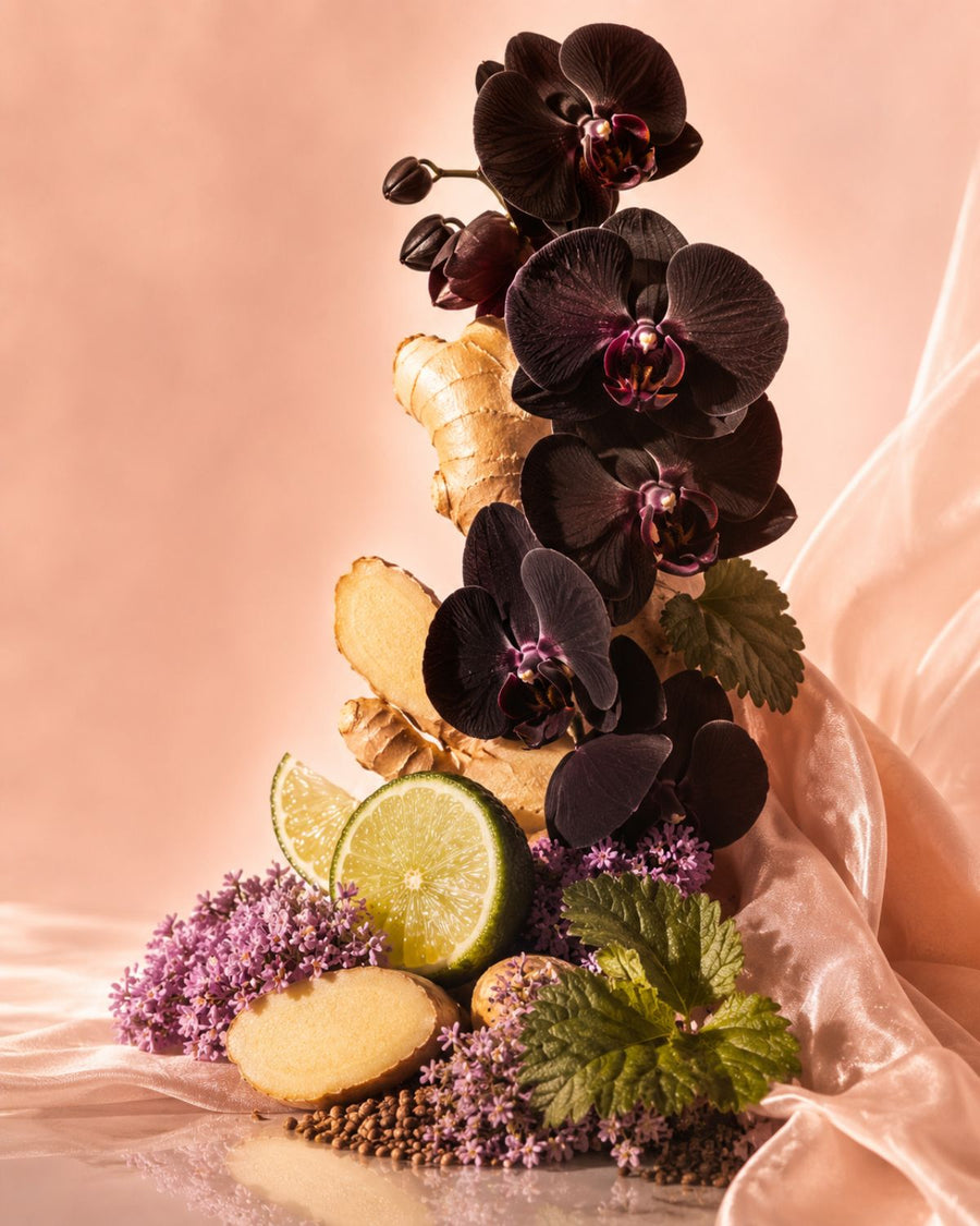 Decorative arrangement with black orchids, limes, ginger, and purple flowers on a soft pink background for Ginger & Black Orchid Fragrance Oil