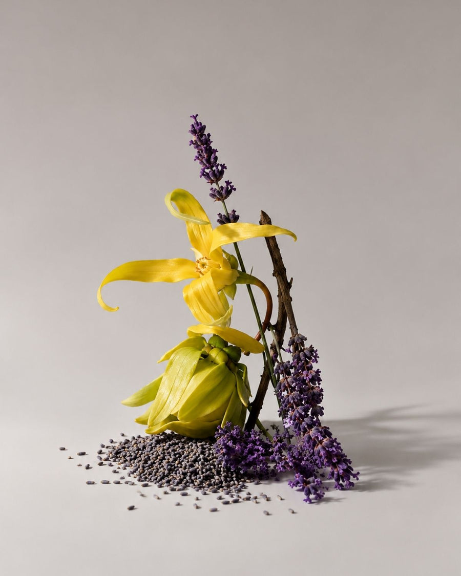 Lavender & Ylang Ylang Fragrance Oil