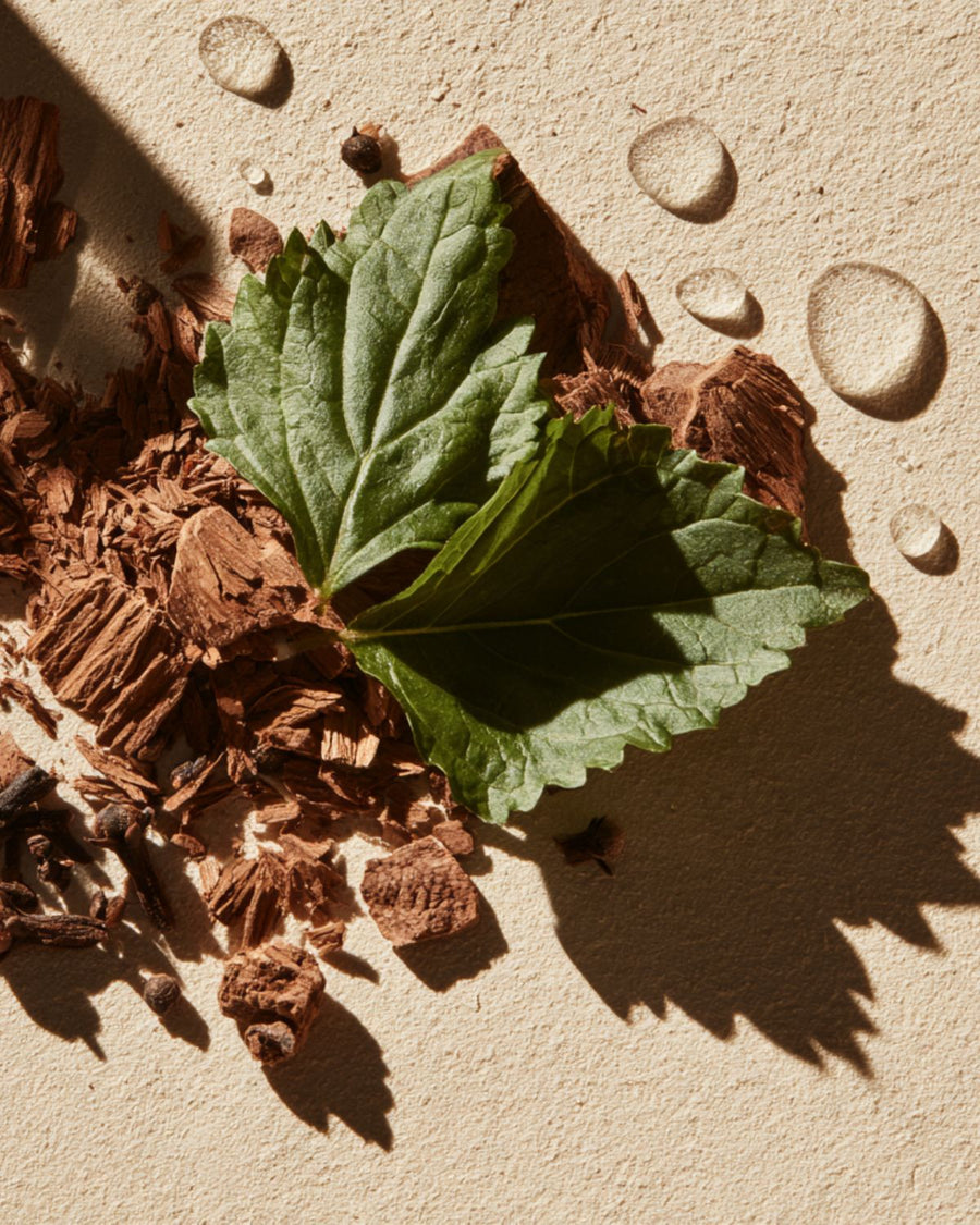 Nukumori Essential Oil Blend